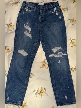 Abercrombie and Fitch High Rise Mom Jean CURVE LOVE Size 30/10 Long
